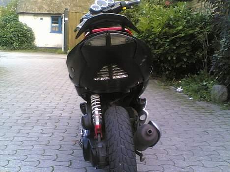 Peugeot Speedfight WRC 307 Carbon billede 9