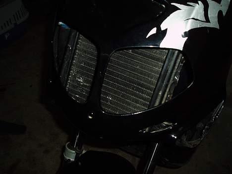 Aprilia Rally LC billede 8