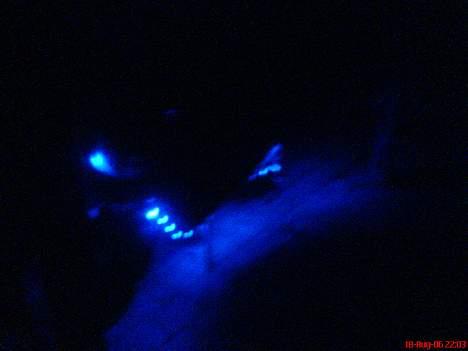 CPI popcorn billede 11