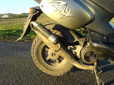 Aprilia Rally billede 5