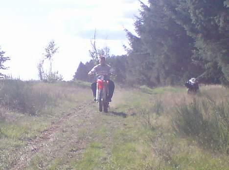 Honda CR 80 SOLGT /; billede 14