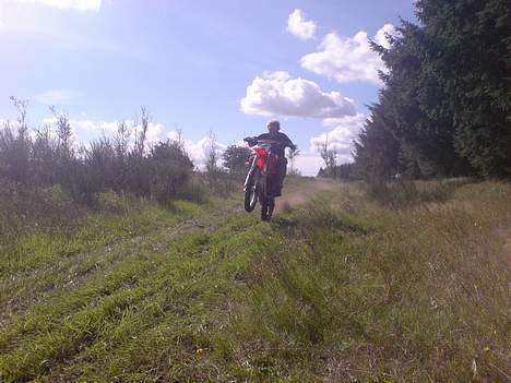 Honda CR 80 SOLGT /; billede 15