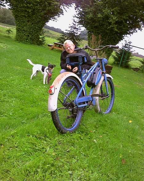 Veteraner wooler billede 2