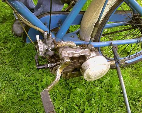 Veteraner wooler billede 5