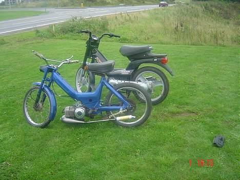 Puch k (solgt) billede 11