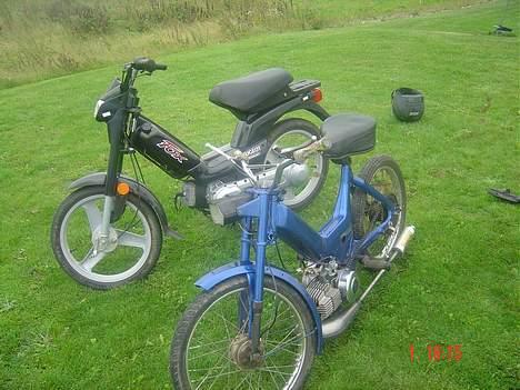 Puch k (solgt) billede 12