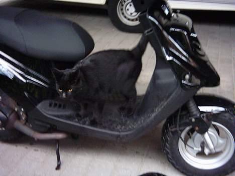 PGO Hot 50 - SOLGT billede 8