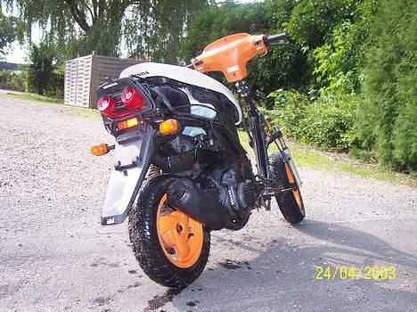 Honda Sfx Repsol (Solgt) - Er i gang med at slibe stellet ned så det kan blive malet. billede 3