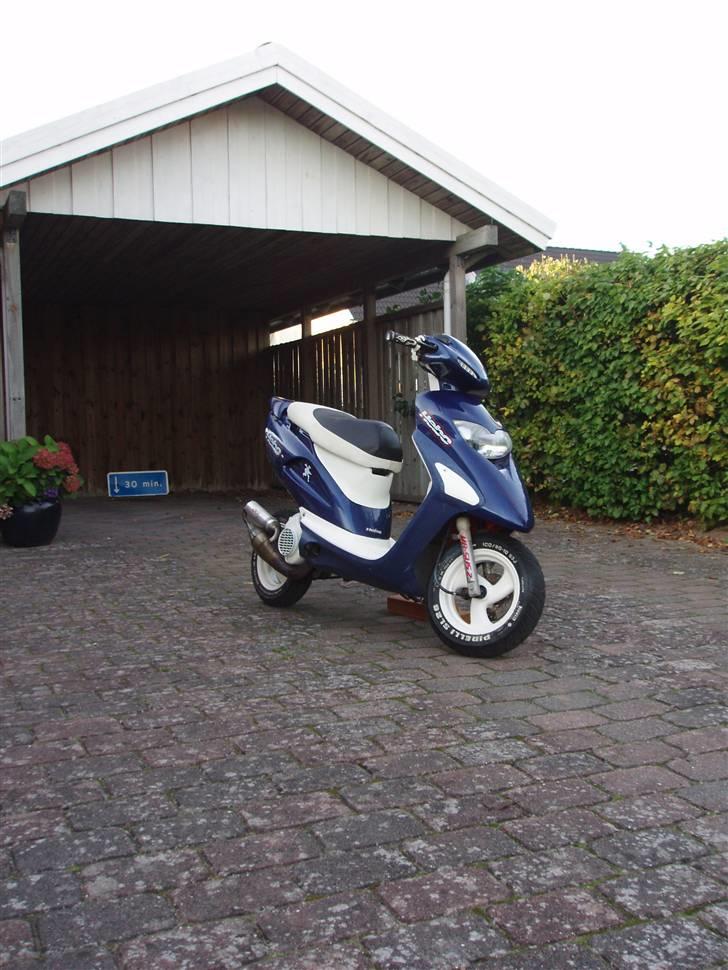 Honda SFX SOLGT - Den er tilsalg for 10000,- billede 2