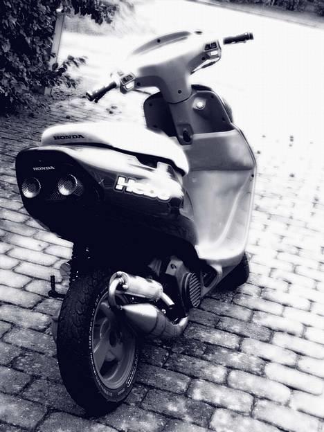 Honda SFX SOLGT - Den er tilsalg for 10000,- billede 3