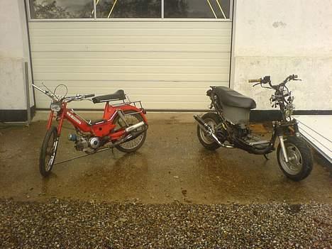 Puch Maxi KL (SOLGT) billede 8