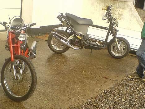 Puch Maxi KL (SOLGT) billede 11