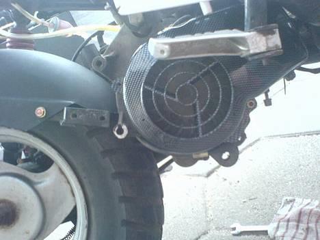 PGO Hot 50 (>Everload<) - Nyt. 22-03-07 Den nye grissetryne sat på. billede 7