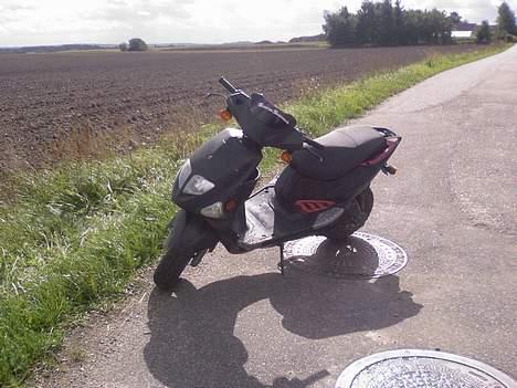 PGO Dr. Big - (Solgt) billede 7