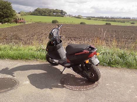 PGO Dr. Big - (Solgt) billede 8