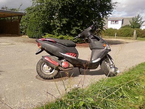 PGO Dr. Big - (Solgt) billede 9