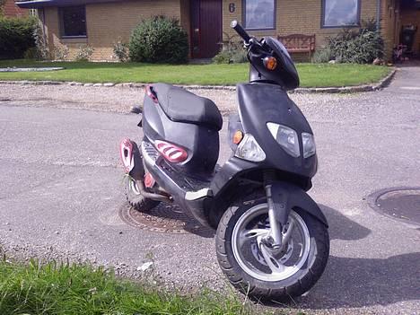 PGO Dr. Big - (Solgt) billede 10