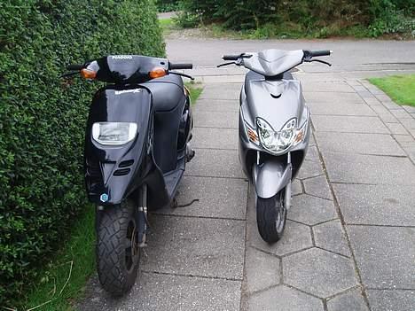 Piaggio Typhoon billede 12