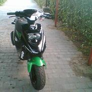 PGO Hot 50.