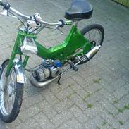 Puch athena maxi..! vild..!