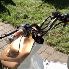 PGO hot 50 byttet til sonic