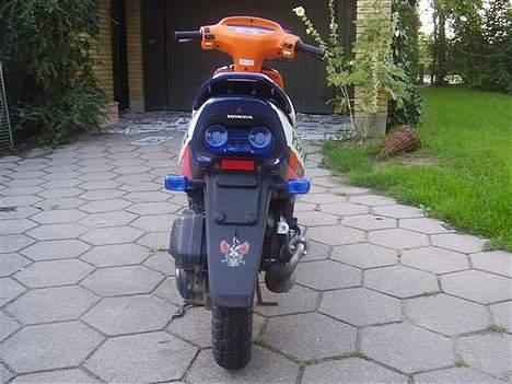 Honda SFX Solgt billede 3