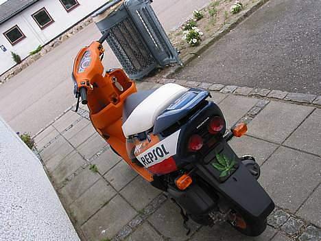 Honda SFX Solgt - Tjek planten på bagskærmen .:p billede 7