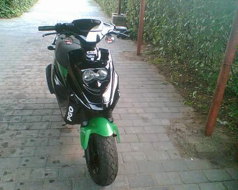 PGO Hot 50.  billede 2