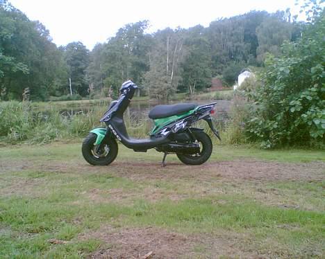 PGO Hot 50.  billede 14