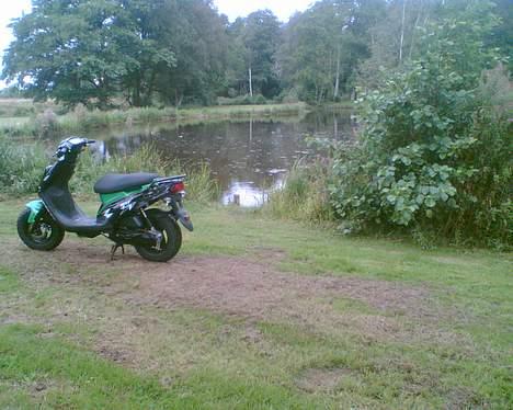 PGO Hot 50.  billede 15