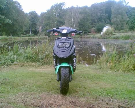 PGO Hot 50.  billede 16