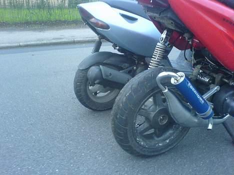 Aprilia sonic   ( STÅJLET) :'( - sonic+cpi--- billede 15