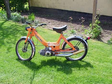 Puch Maxi billede 1