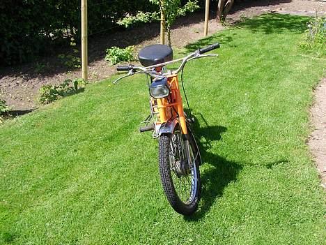 Puch Maxi billede 8