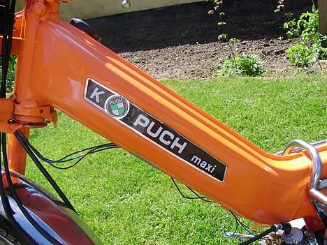 Puch Maxi billede 12