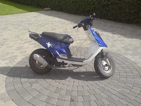 PGO Hot 50/byttet til rally billede 2