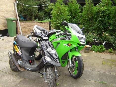 Gilera stalker(solt) billede 8