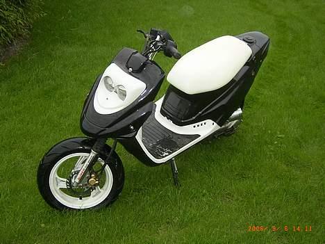 PGO Hot 50 billede 4