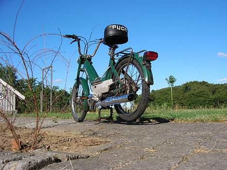 Puch Puch Maxi P før Solgt billede 14