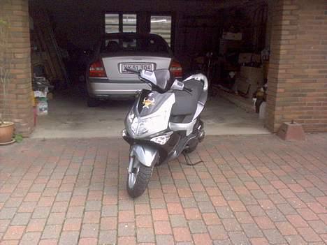 PGO G-MAX billede 15