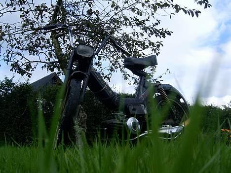 Puch maxi kl billede 3