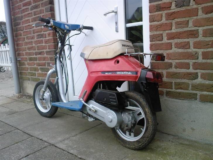 Honda Melody Mini NT50 !Projekt - Ude og luftes lidt billede 1
