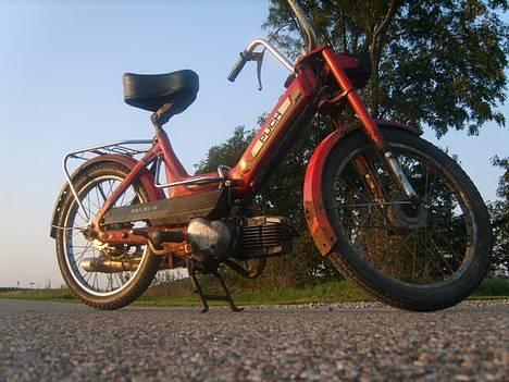Puch Maxi K *Byttet* - Sådan ser den ud lige nu..  billede 1