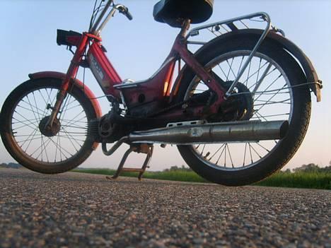 Puch Maxi K *Byttet* - ser vi lige lidt frø :D billede 6