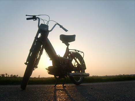 Puch Maxi K *Byttet* billede 8