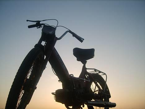 Puch Maxi K *Byttet* billede 9