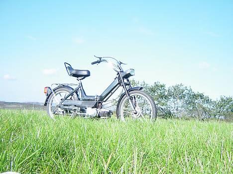 Puch maxi solgt.... billede 1