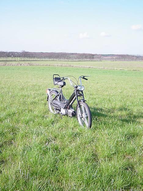 Puch maxi solgt.... billede 2