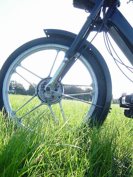 Puch maxi solgt.... billede 7