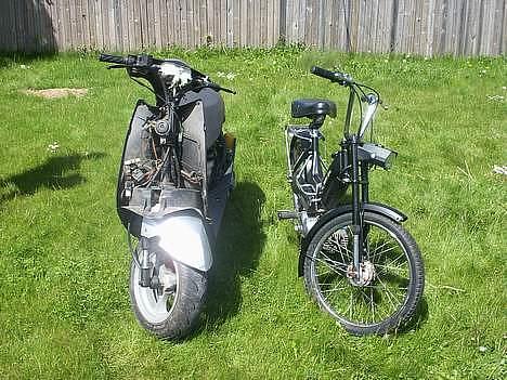 Puch maxi, solgt billede 4